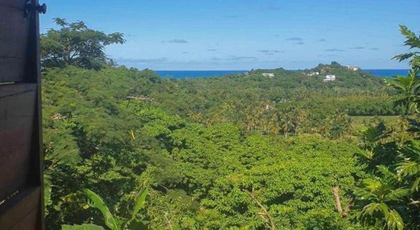Bamboojam Villa Las Terrenas Exterior photo